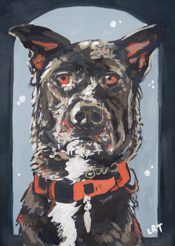 andi dog pair duo kaitlyn lexrthomas lrtstudio gouache 2026